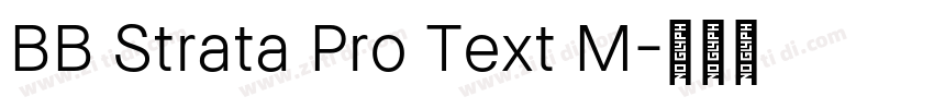 BB Strata Pro Text M字体转换